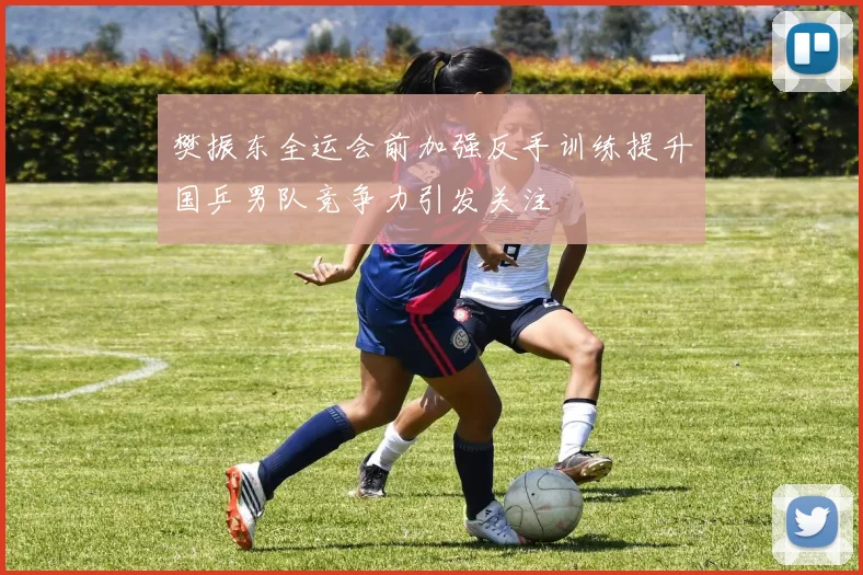 樊振东全运会前加强反手训练提升国乒男队竞争力引发关注